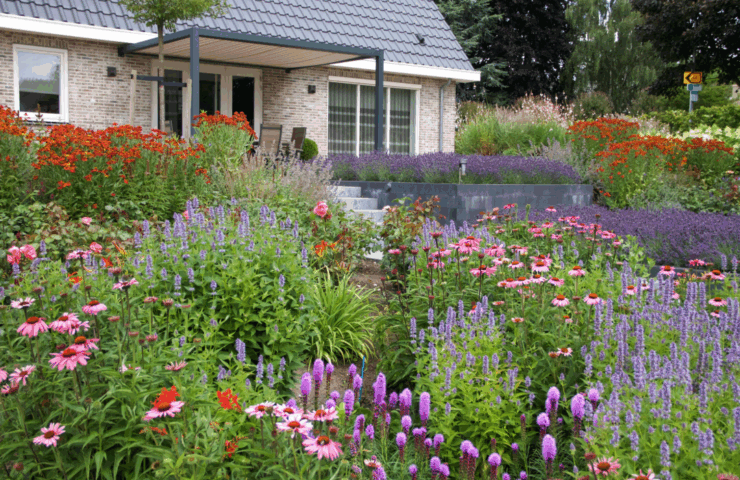 Zomertuin