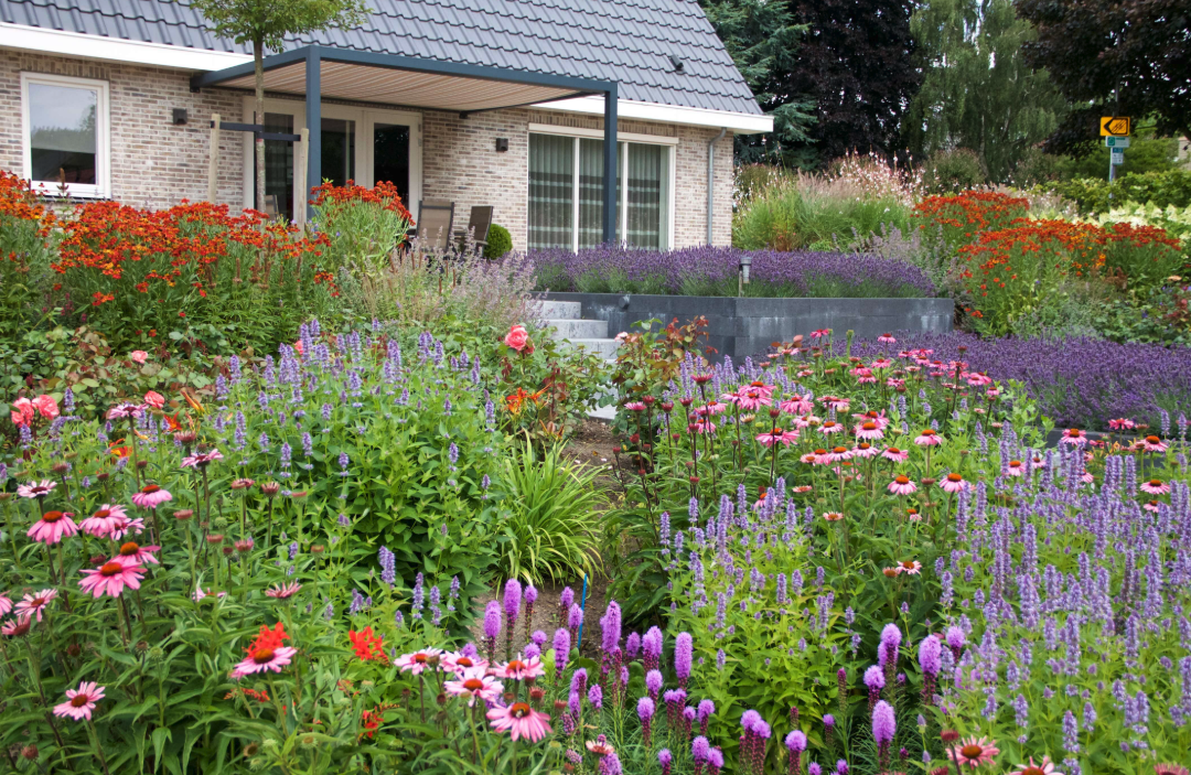 Zomertuin
